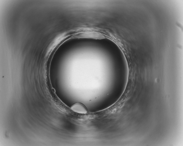 X0000099380103200805081454