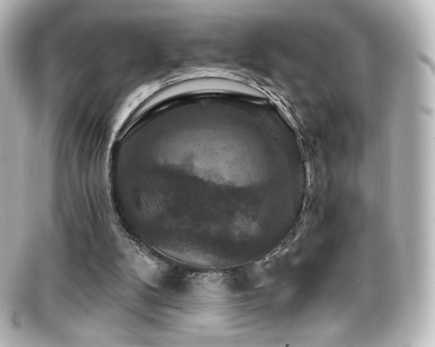 X0000099380104200805081454