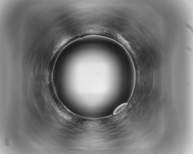 X0000099380106200805081454