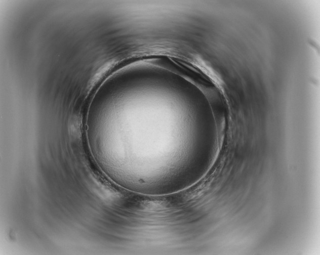 X0000099380107200805081454