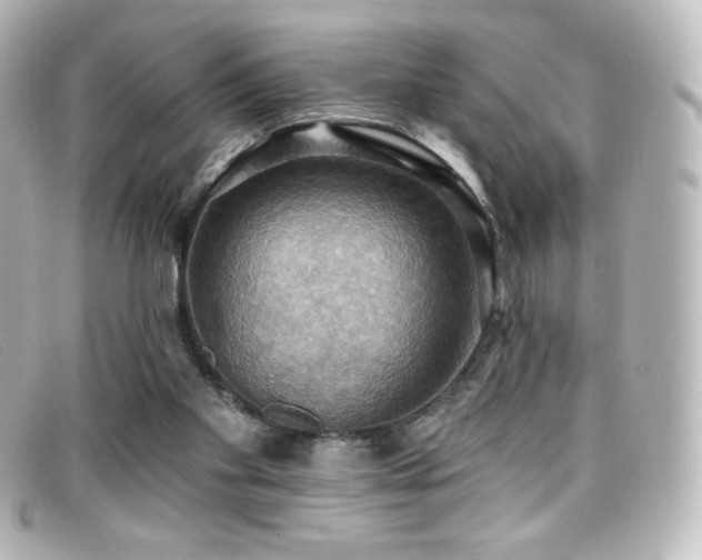 X0000099380109200805081454