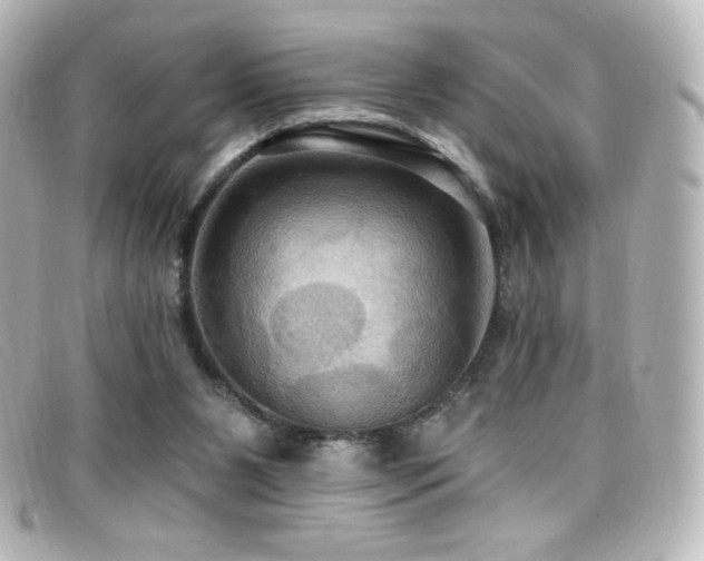 X0000099380111200805081454