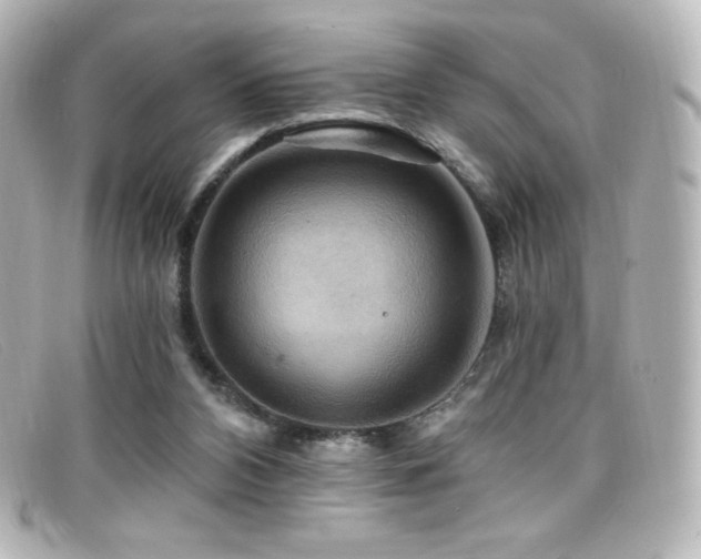 X0000099380112200805081454