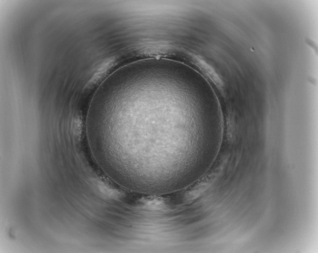 X0000099380113200805081454