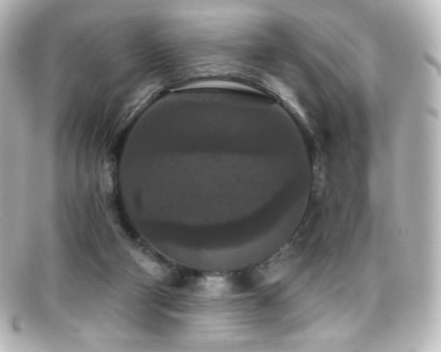 X0000099380114200805081454