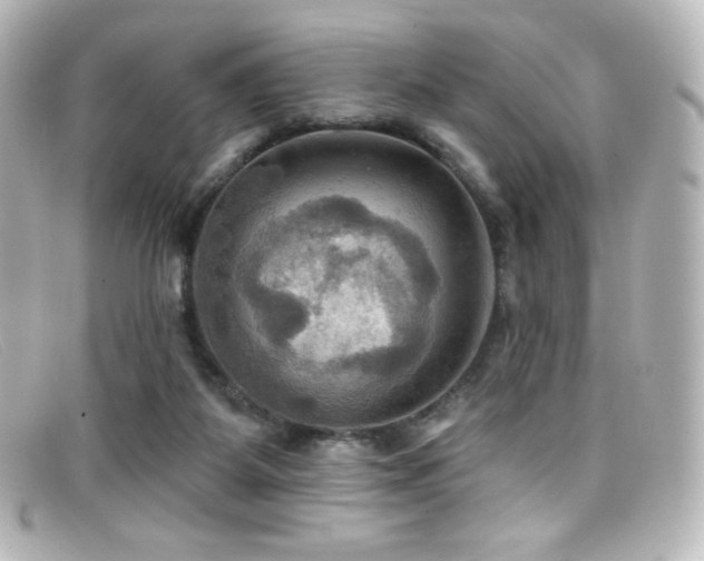 X0000099380115200805081454