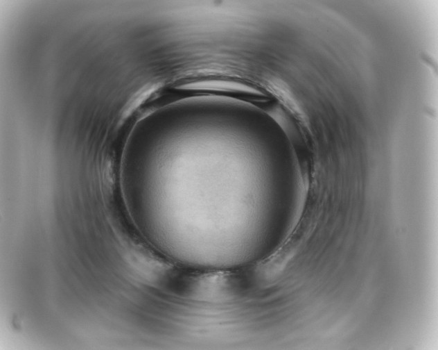 X0000099380116200805081454