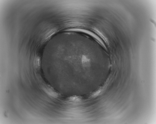 X0000099380117200805081454