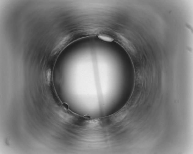 X0000099380118200805081454