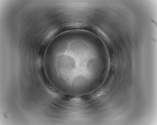 X0000099380119200805081454