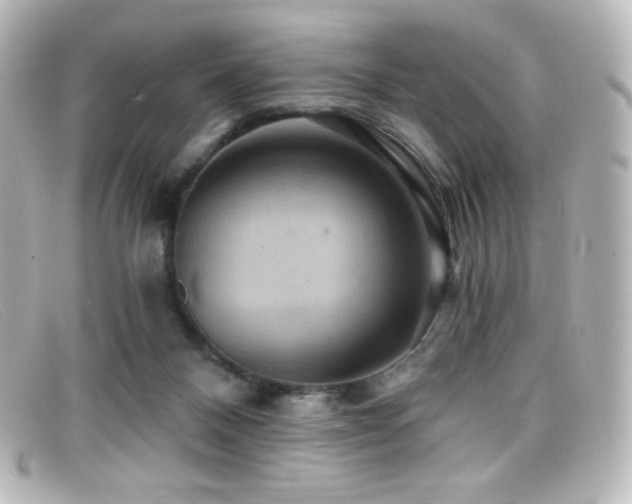 X0000099380120200805081454