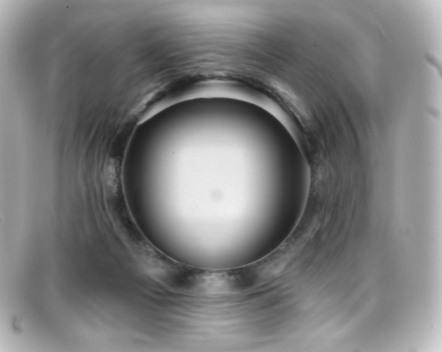 X0000099380121200805081454