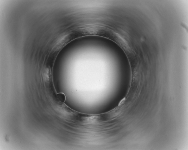 X0000099380122200805081454