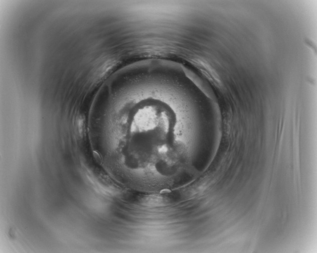 X0000099380123200805081454