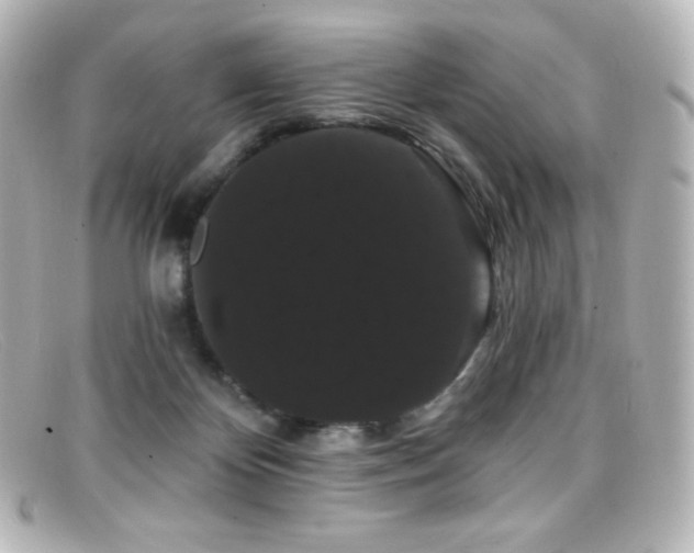 X0000099380124200805081454