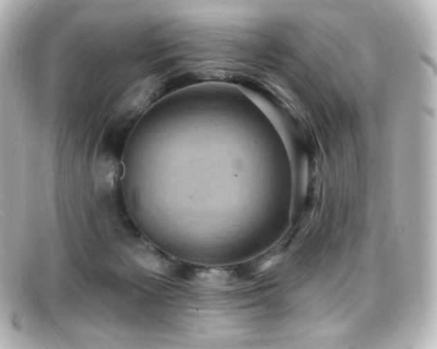 X0000099380125200805081454