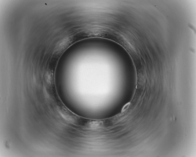 X0000099380126200805081454