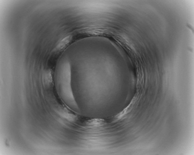 X0000099380128200805081454