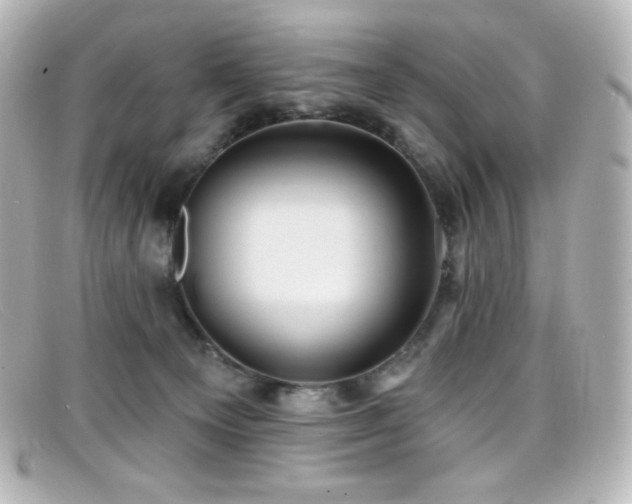 X0000099380129200805081454