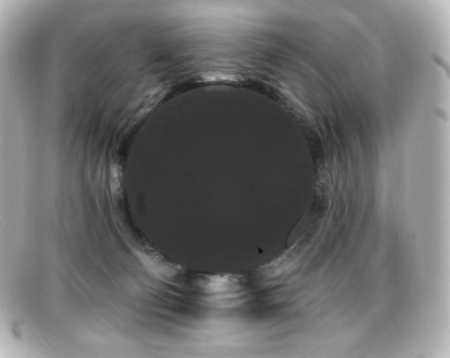 X0000099380130200805081454