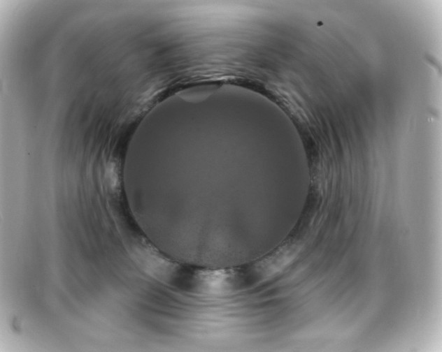 X0000099380131200805081454