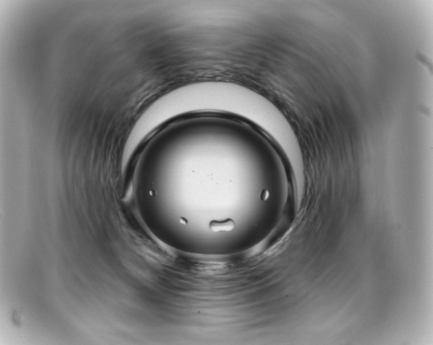 X0000099380132200805081454