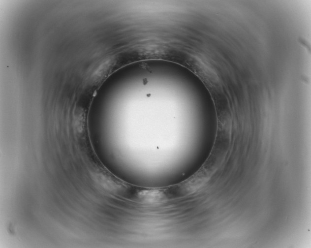 X0000099380133200805081454