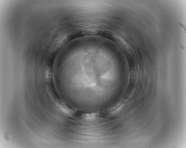 X0000099380134200805081454