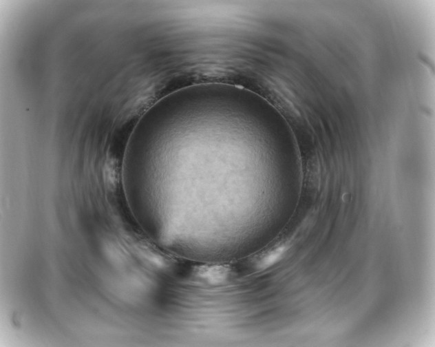 X0000099380135200805081454