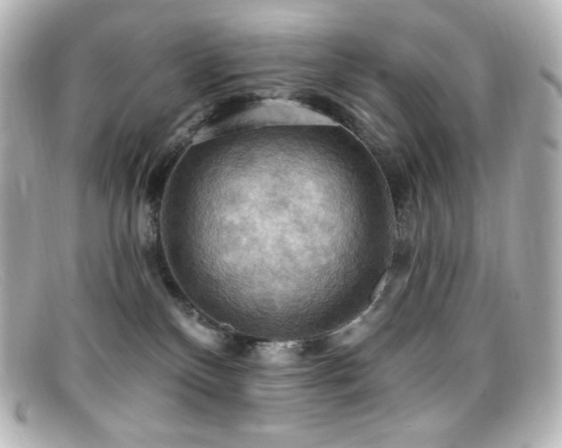 X0000099380136200805081454