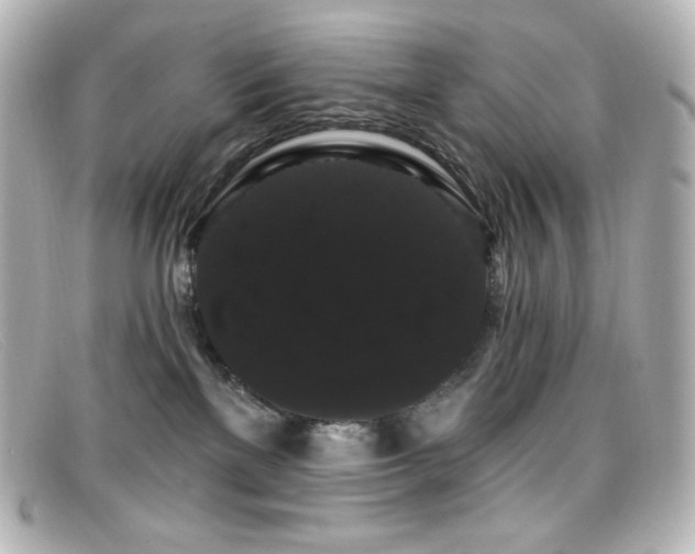 X0000099380137200805081454