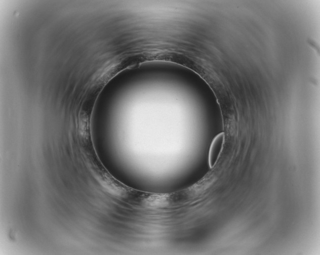 X0000099380138200805081454