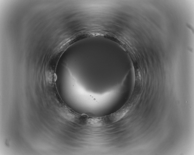 X0000099380139200805081454