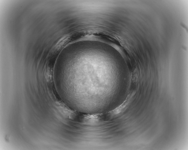 X0000099380140200805081454