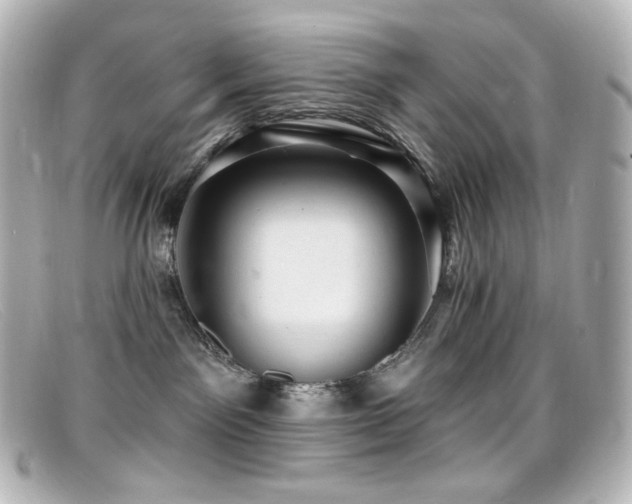 X0000099380141200805081454