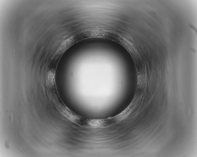 X0000099380142200805081454