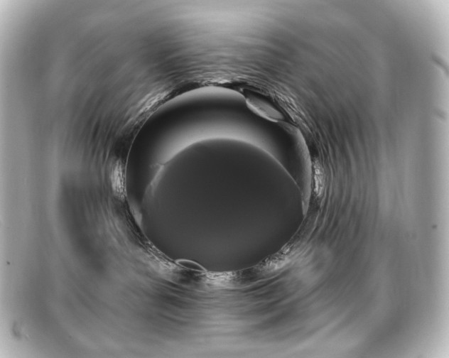 X0000099380143200805081454