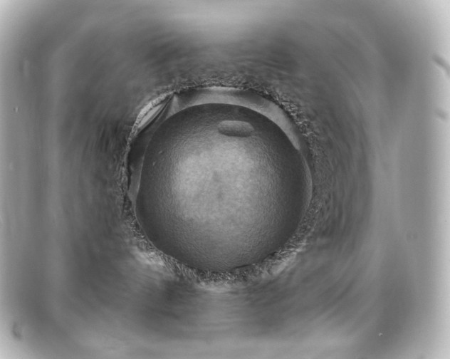 X0000099380144200805081454