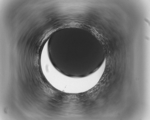 X0000099380146200805081453