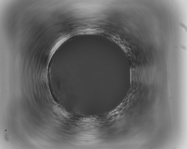 X0000099380147200805081453