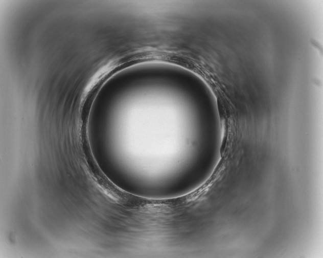 X0000099380150200805081453