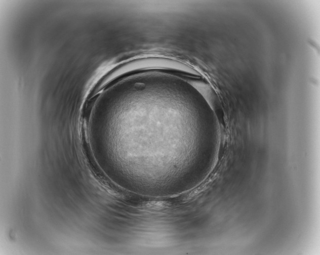 X0000099380152200805081453