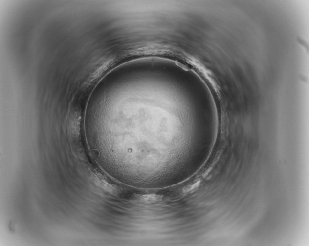 X0000099380153200805081453