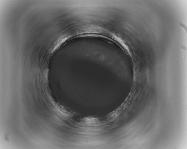 X0000099380154200805081453