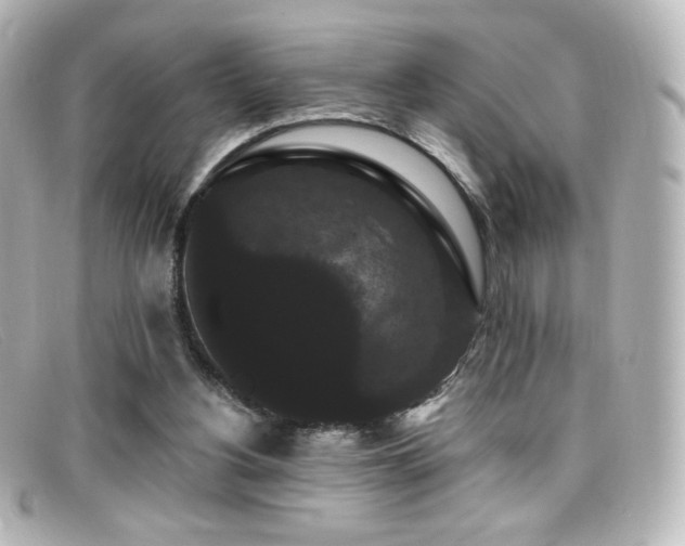 X0000099380156200805081453