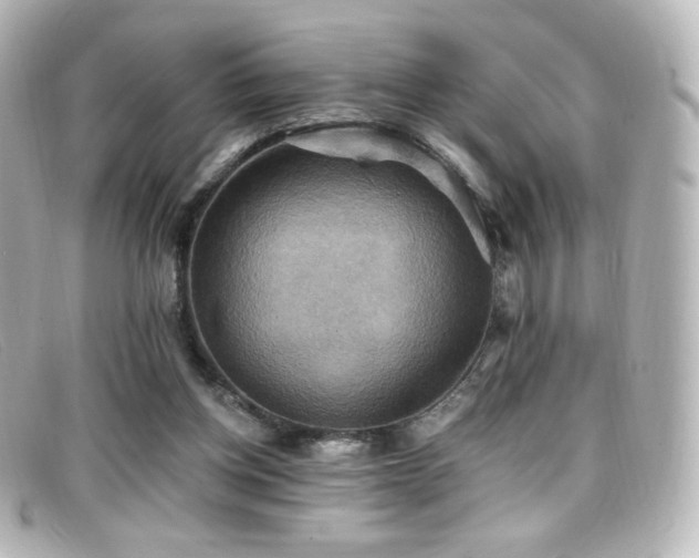 X0000099380158200805081453