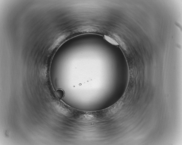 X0000099380159200805081453