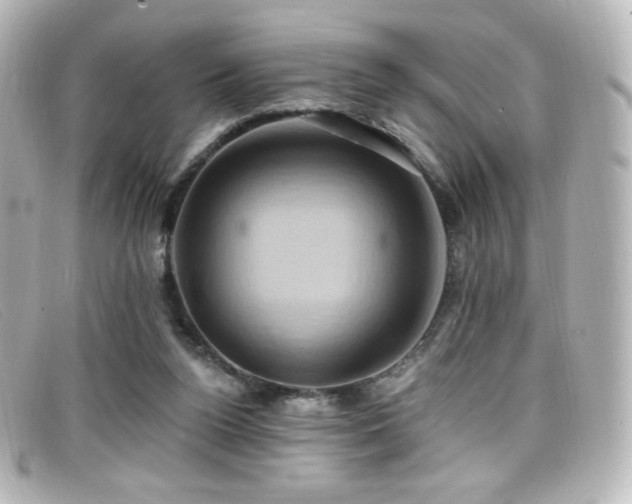 X0000099380160200805081453