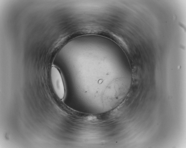 X0000099380162200805081453