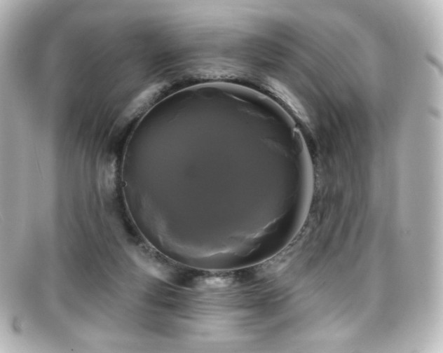 X0000099380163200805081453